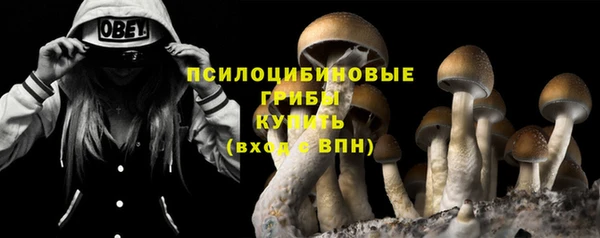 тгк Абинск