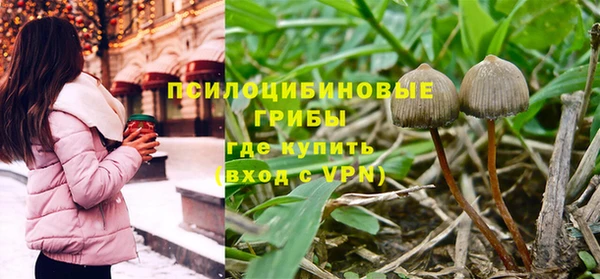 тгк Абинск
